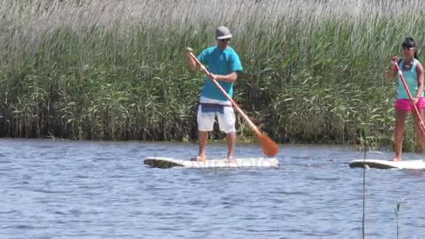 Man and woman stand up paddleboarding — Stock Video