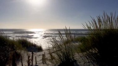 Sand dunes in Vagueira, Aveiro - Portugal