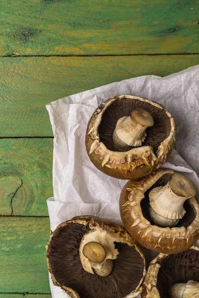 新鲜的生棕色蘑菇 — 图库照片