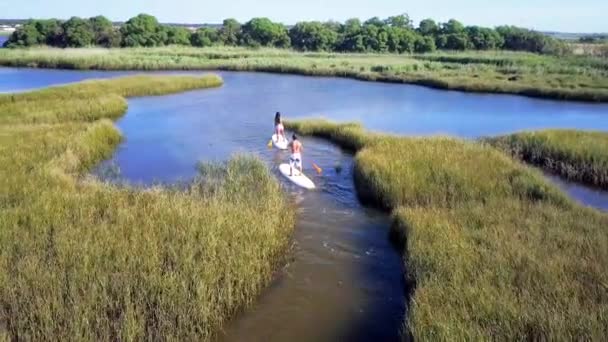 Muž a žena postavit paddleboarding — Stock video