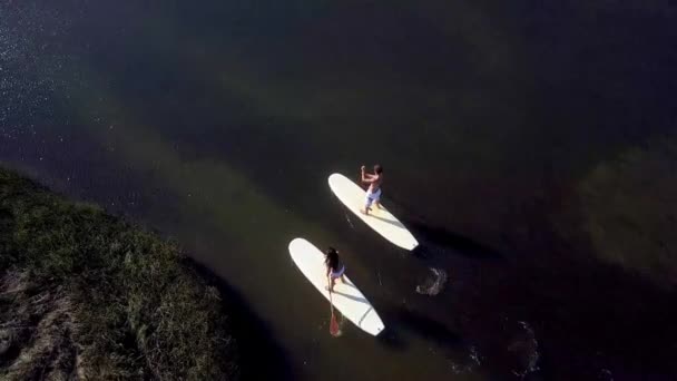 Hombre y mujer de pie paddleboarding — Vídeo de stock