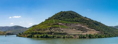 Douro Valley teraslı üzüm bağları bakış açısı shot