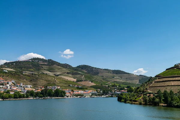 Point of view shot of terraced vineyards in Douro Valley — Stock Photo, Image
