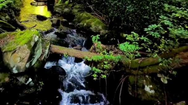 Krásný vodopád v Portugalsku Cabreia — Stock video