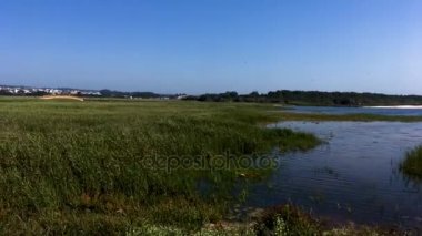 Barrinha in Esmoriz, Ovar - Portugal