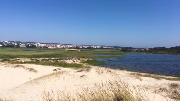 Barrinha in Esmoriz, Ovar - Portugal — Stockvideo