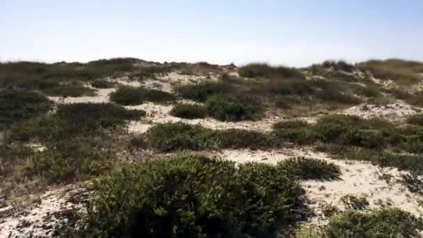 Dunas de arena y playa en Paramos, Espinho - Portugal — Vídeos de Stock