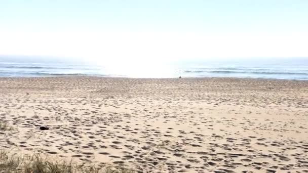 Spiaggia di Paramos a Espinho — Video Stock