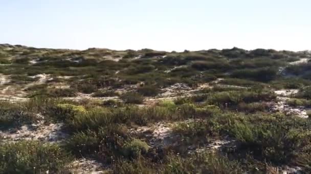 Duinen en strand in Paramos, Espinho - Portugal — Stockvideo