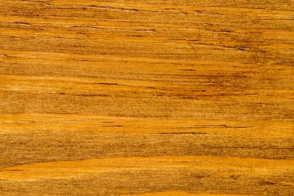 Közelről fa textúra részlete — Stock Fotó