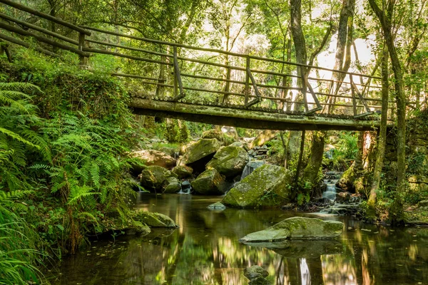 Holzbrücke nahe Wasserfall in cabreia portugal — Stockfoto