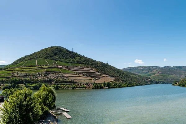 Point of view shot of terraced vineyards in Douro Valley — Stock Photo, Image