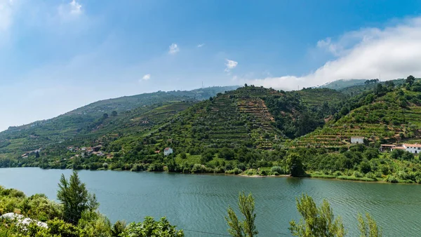 Vista do Vale do Douro, Portugal . — Fotografia de Stock