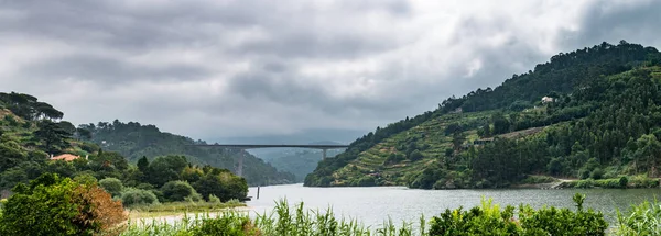 Görünüm Douro Valley, Portekiz. — Stok fotoğraf