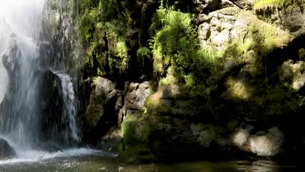 Beautiful waterfall in Cabreia Portugal — Stock Video