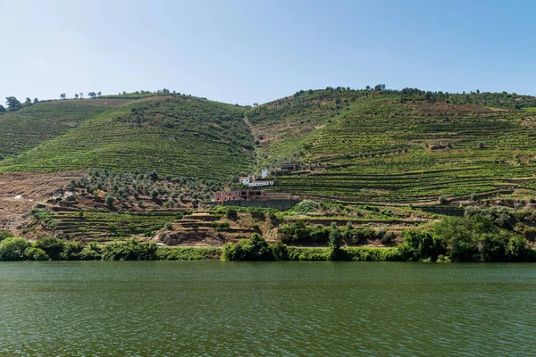 Utsikt over Douro Valley, Portugal . – stockfoto
