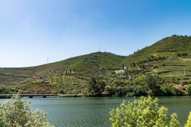Görünüm Douro Valley, Portekiz. 