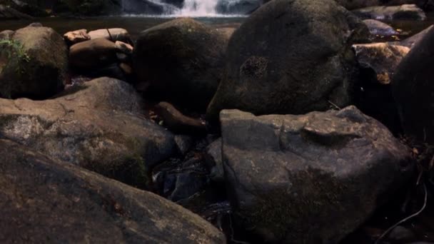 Schöner wasserfall in cabreia portugal — Stockvideo