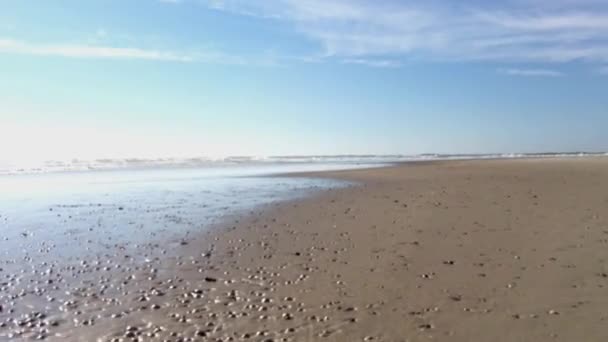 Волны, достигнув берег Beach — стоковое видео