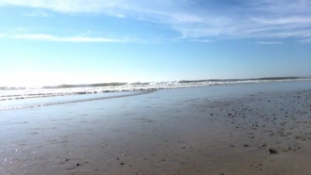 Golven bereiken strand kust — Stockvideo