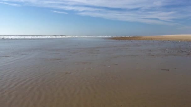 Κύματα που φτάνουν ακτή παραλία — Αρχείο Βίντεο