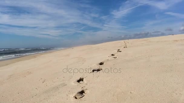 Siguiendo huellas en Beach Shore — Vídeo de stock