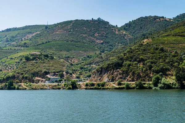 View of Douro Valley, Portugal. — Stock Photo, Image