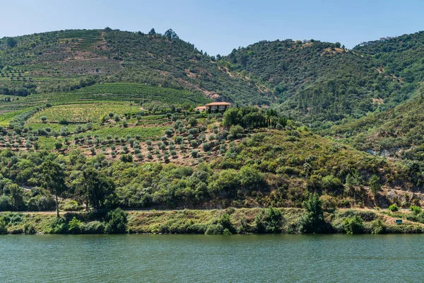 Kilátás nyílik a Douro Valley, Portugália. — Stock Fotó