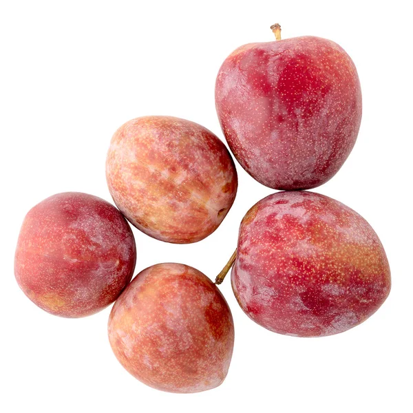 Red ripe plums — Stock Photo, Image