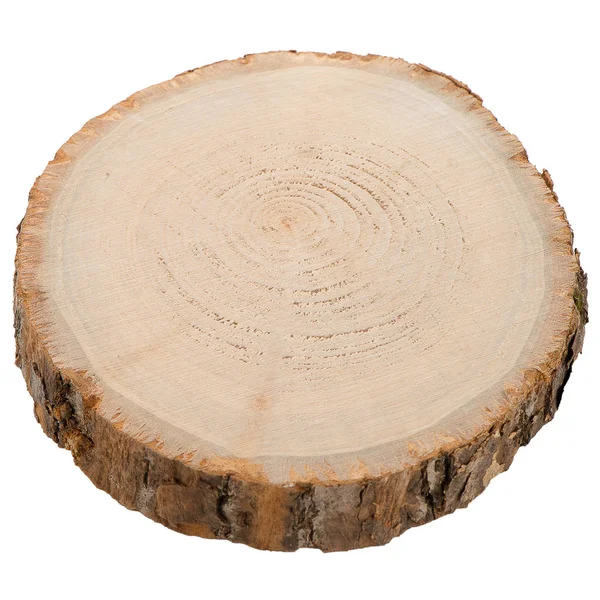 Wood log slice — Stock Photo, Image