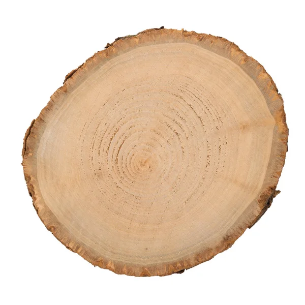 Fetta di tronco di legno — Foto Stock