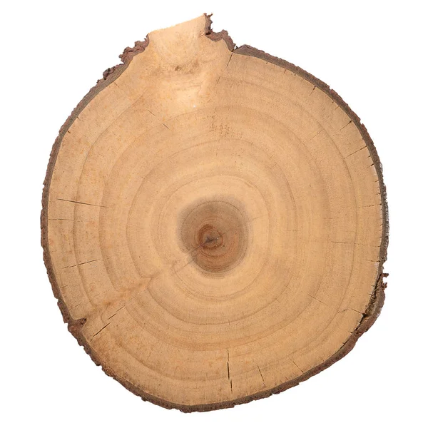 Trozo de madera —  Fotos de Stock