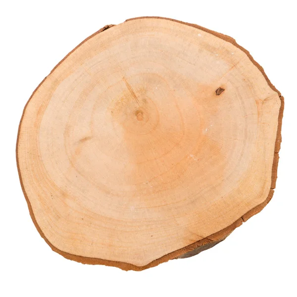 Kromka kłoda drewna — Zdjęcie stockowe
