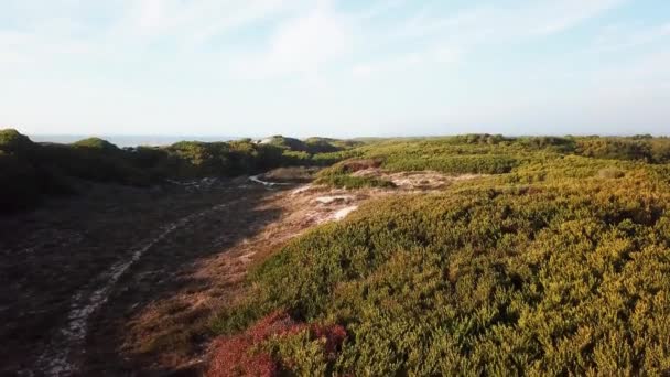 Luftaufnahme des Strandes bei Sonnenuntergang — Stockvideo