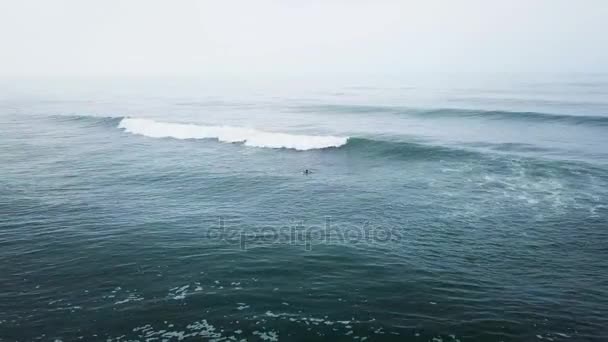 Joven surfista chica buscando olas — Vídeos de Stock