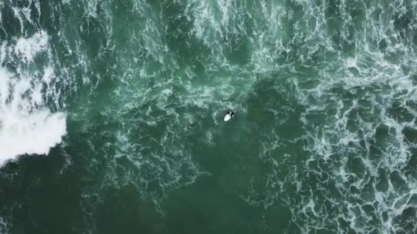 Νέοι πλοηγεί κορίτσι που αναζητούν για τα κύματα — Αρχείο Βίντεο