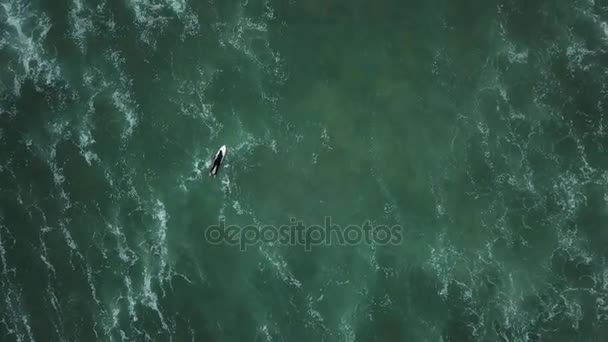 Jonge surfer meisje op zoek naar golven — Stockvideo