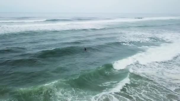 Mladý surfař holka hledá vlny — Stock video