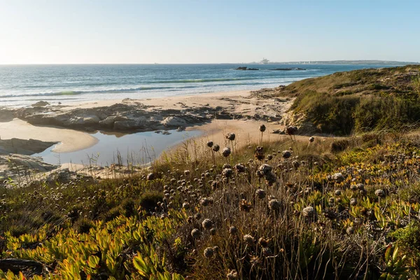 Paisaje de la playa de Porto Covo —  Fotos de Stock