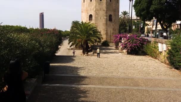 Torre del Oro — Wideo stockowe