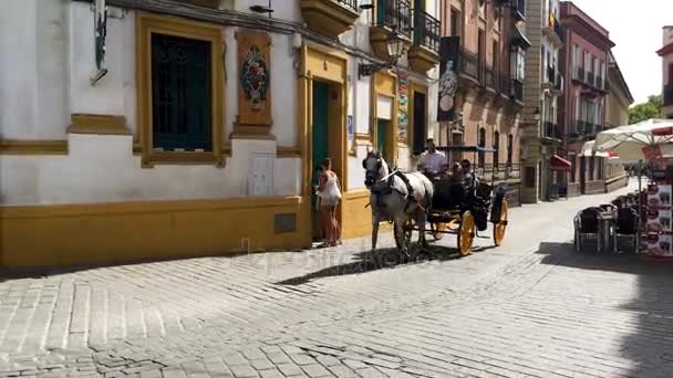 Cavalos andaluzes típicos com carruagens — Vídeo de Stock