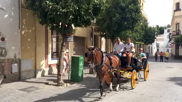 Typiska andalusiska hästar med vagnar — Stockvideo