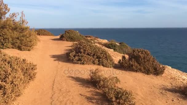 Rocky coastline near Carvoeiro — Stock Video