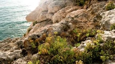 Carvoeiro yakınlarındaki Rocky sahili.
