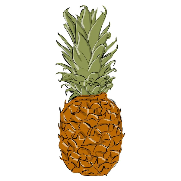 Ananas — Stockvector