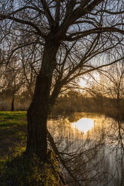 Pateira de Fermentelos