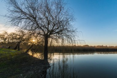 Pateira de Fermentelos