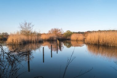 Pateira de Fermentelos