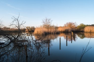 Pateira de Fermentelos