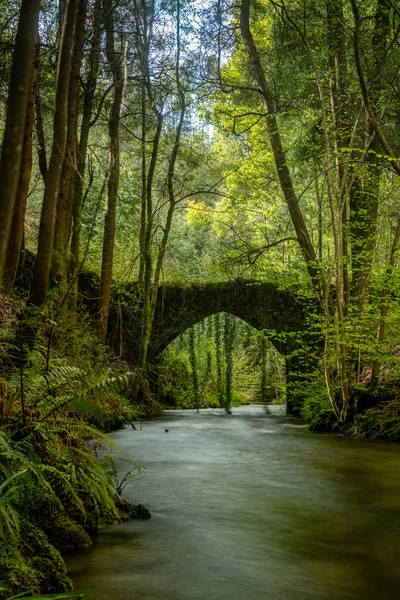 Ponte Rochosa Velha Sobre Rio Filveda Albergaria Velha Portugal — Fotografia de Stock